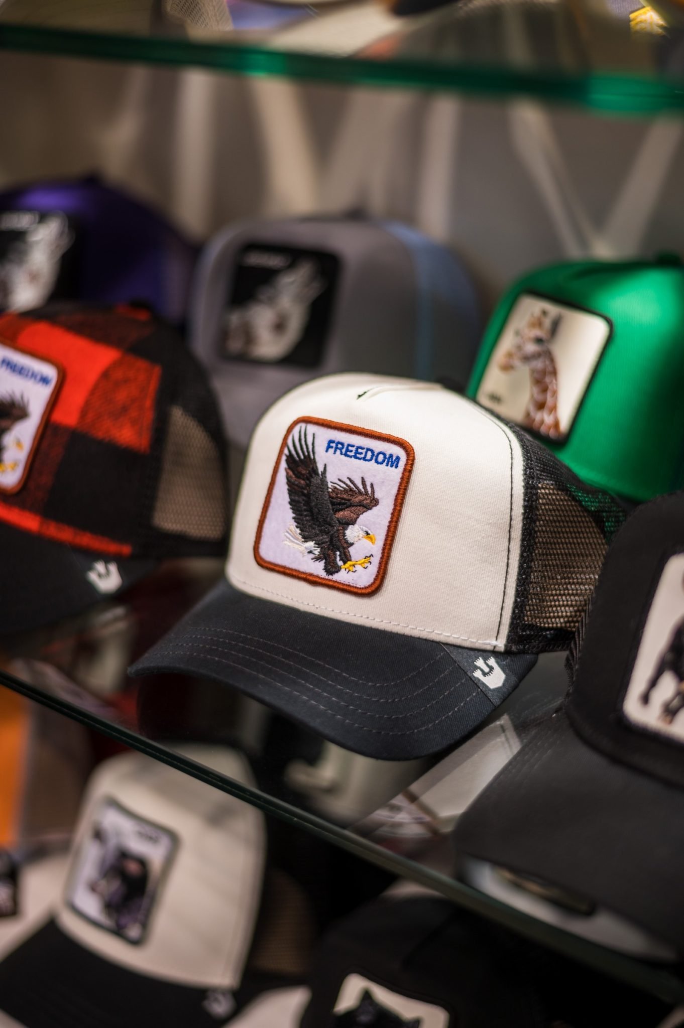 Black Sugar Nov 23_0080