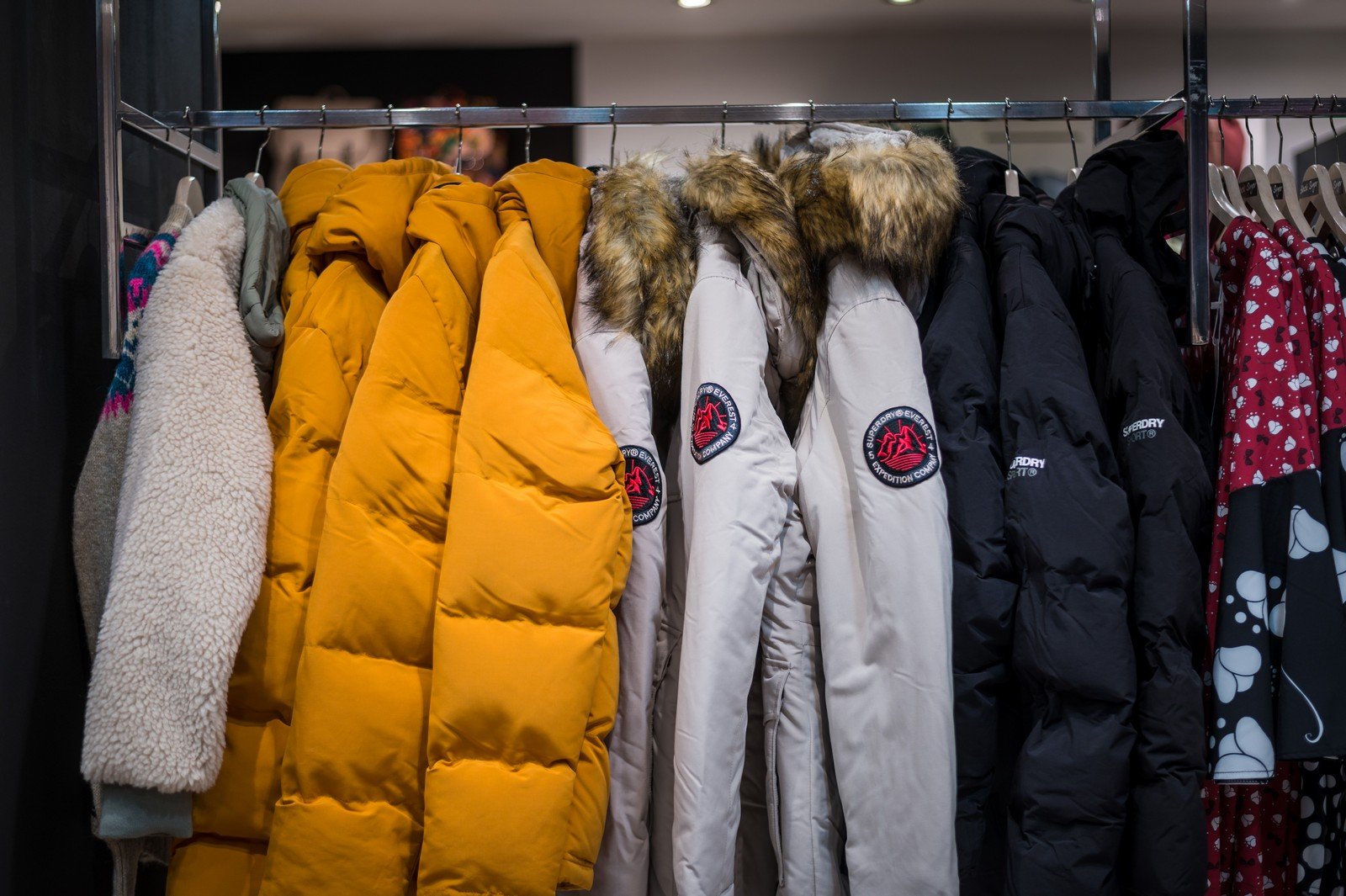 Black Sugar Nov 23_0103