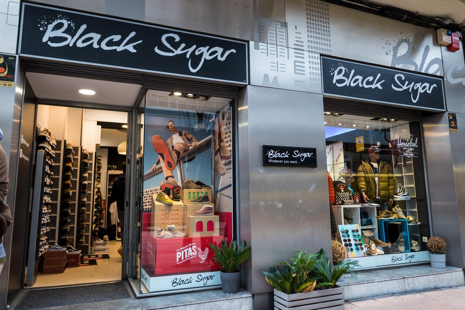 Black Sugar Nov 23_0158